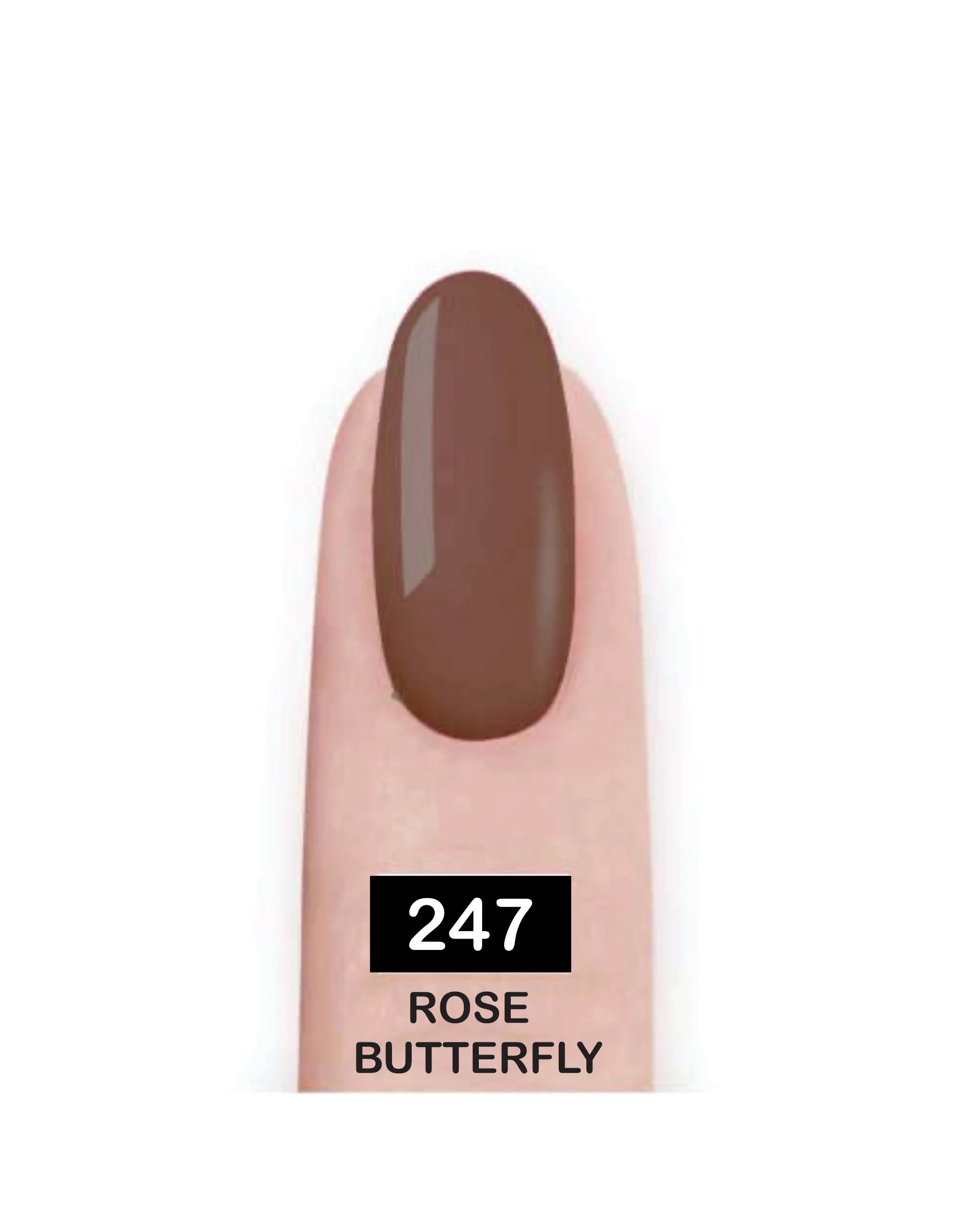 Nail Paint