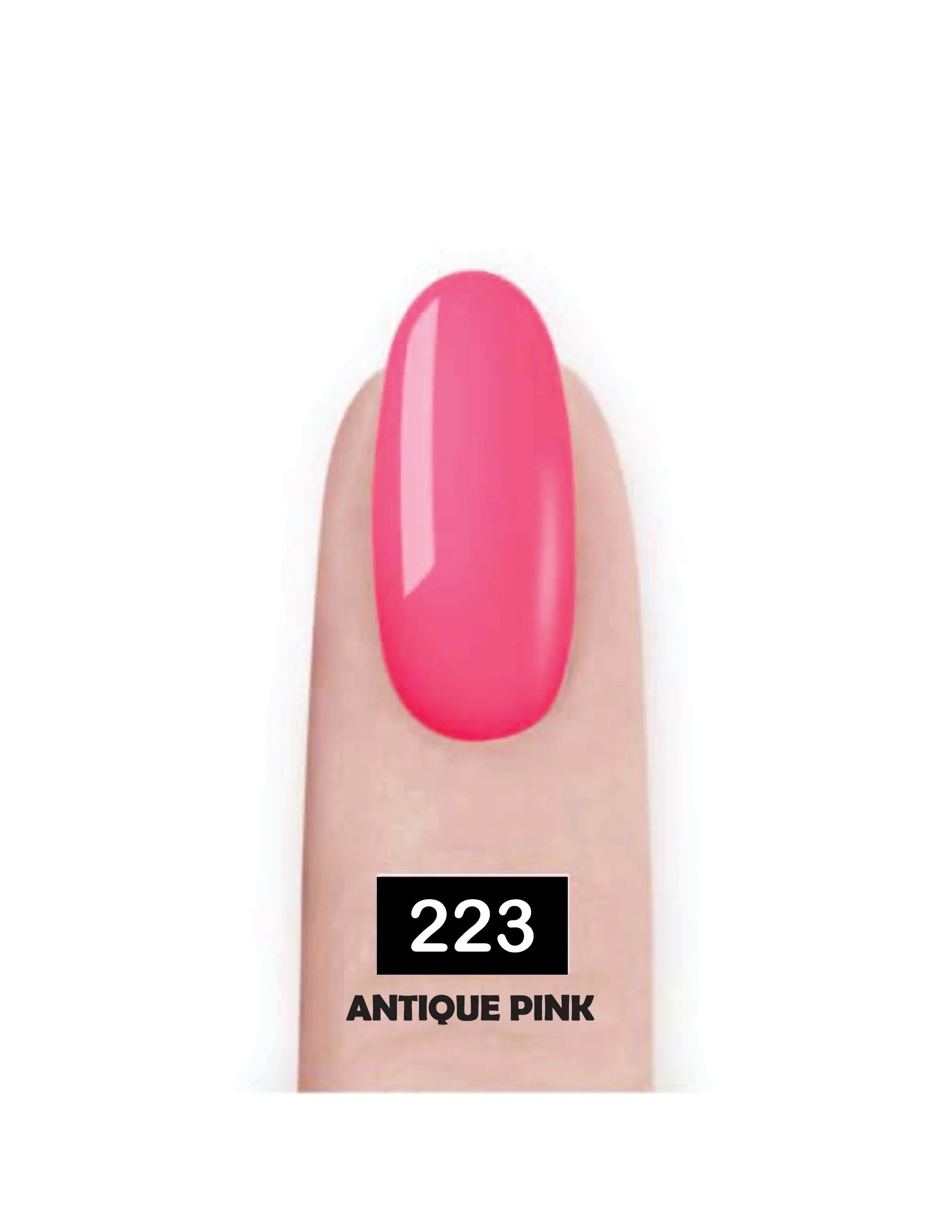 Nail Paint