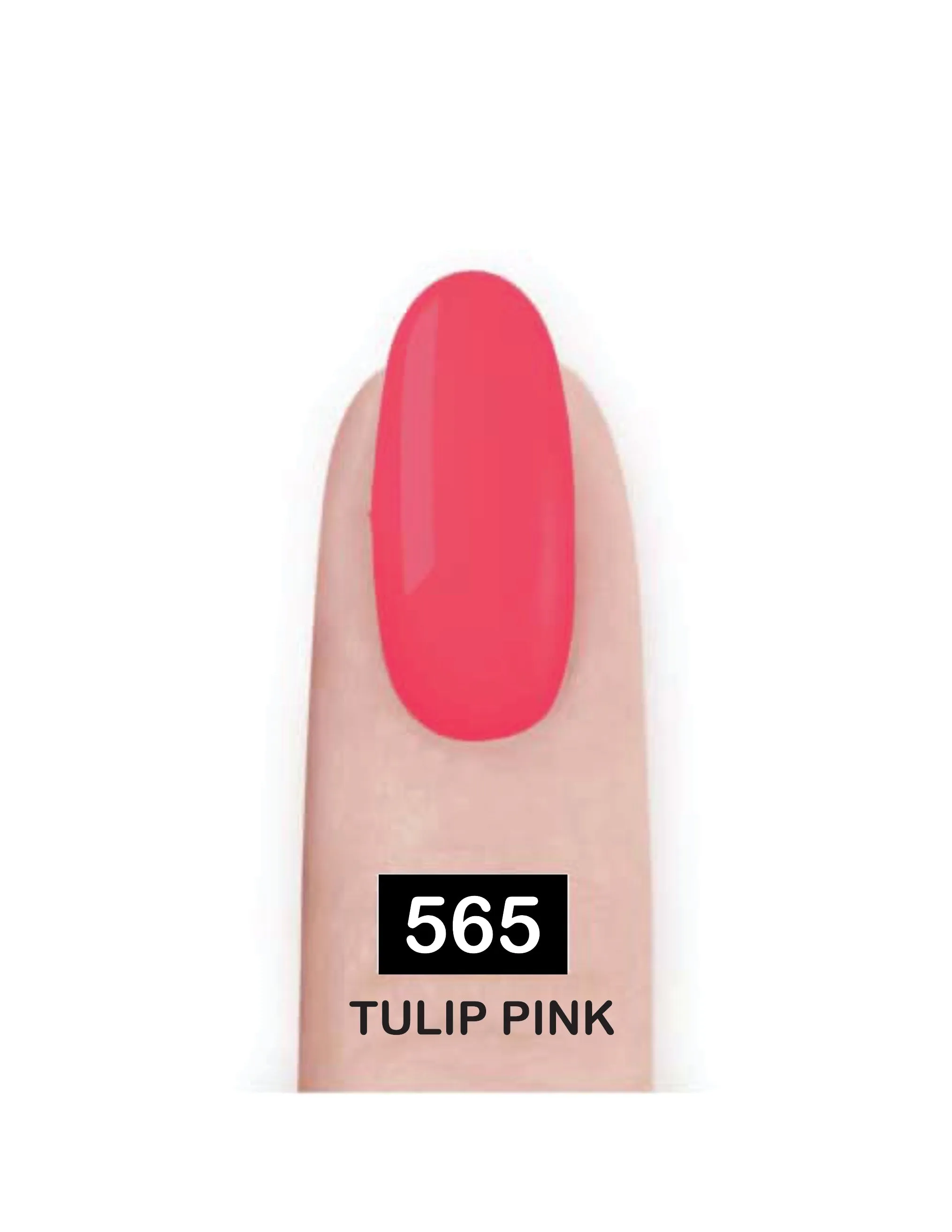 Nail Paint