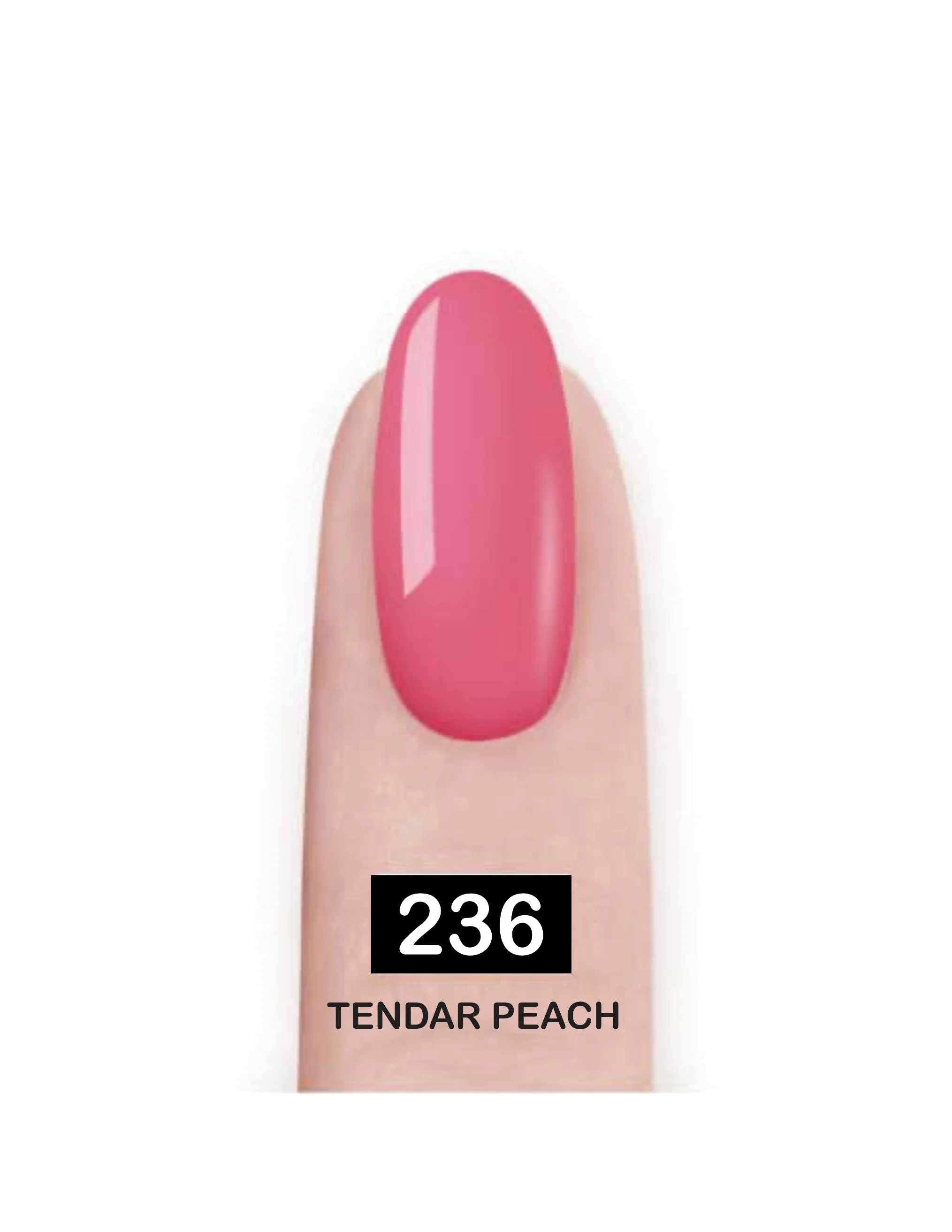 Nail Paint