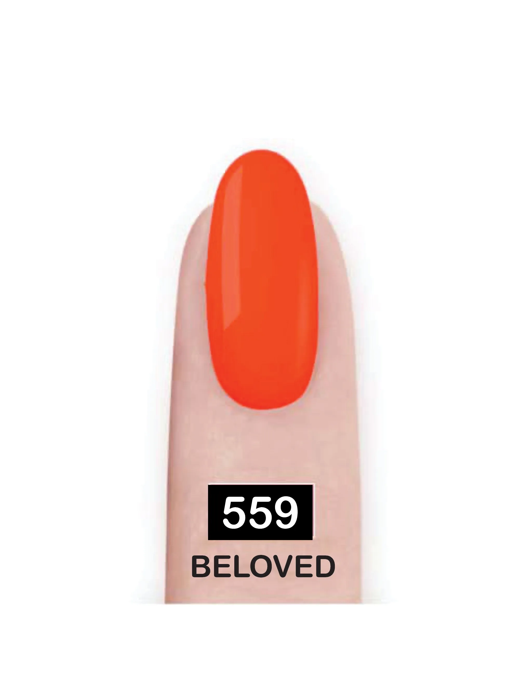 Nail Paint