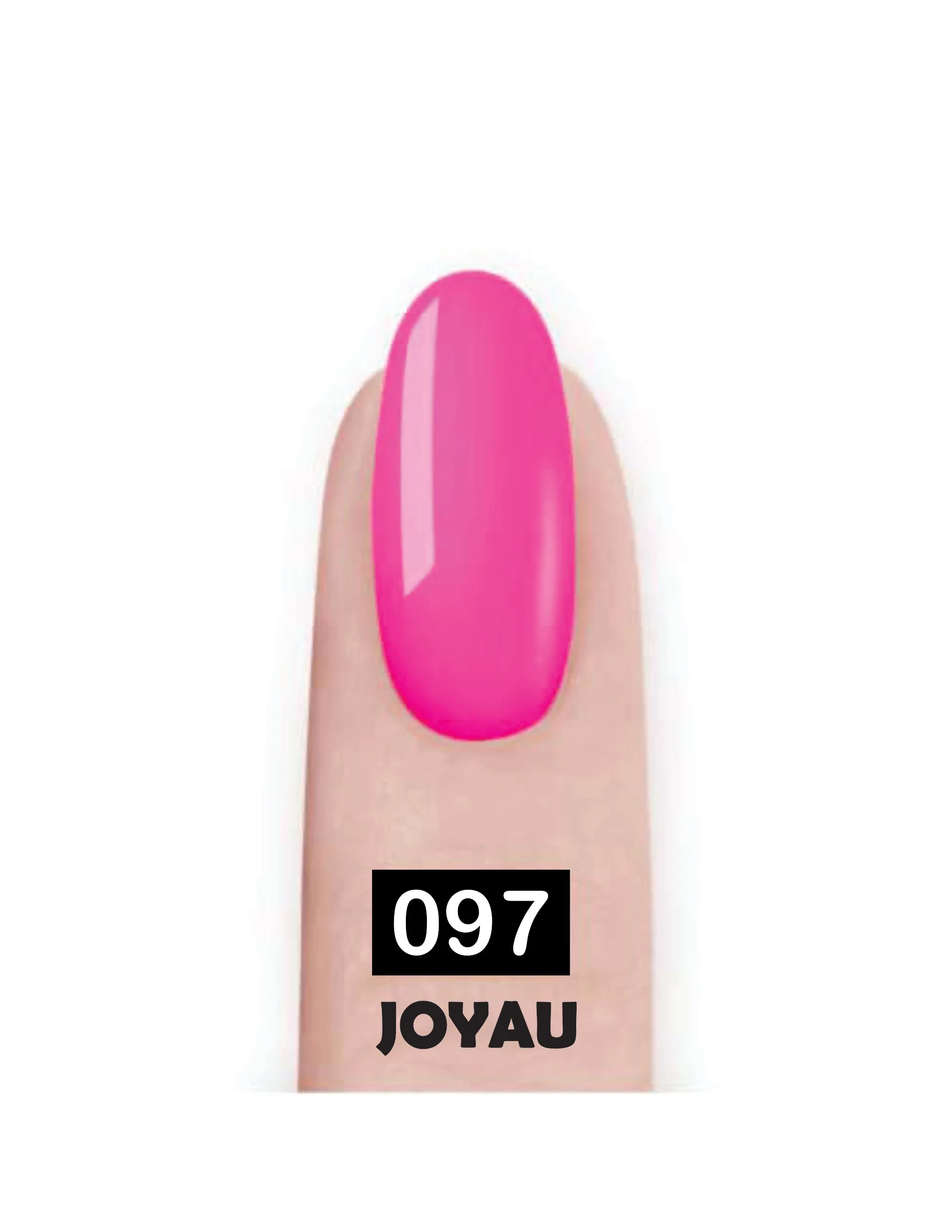 Nail Paint
