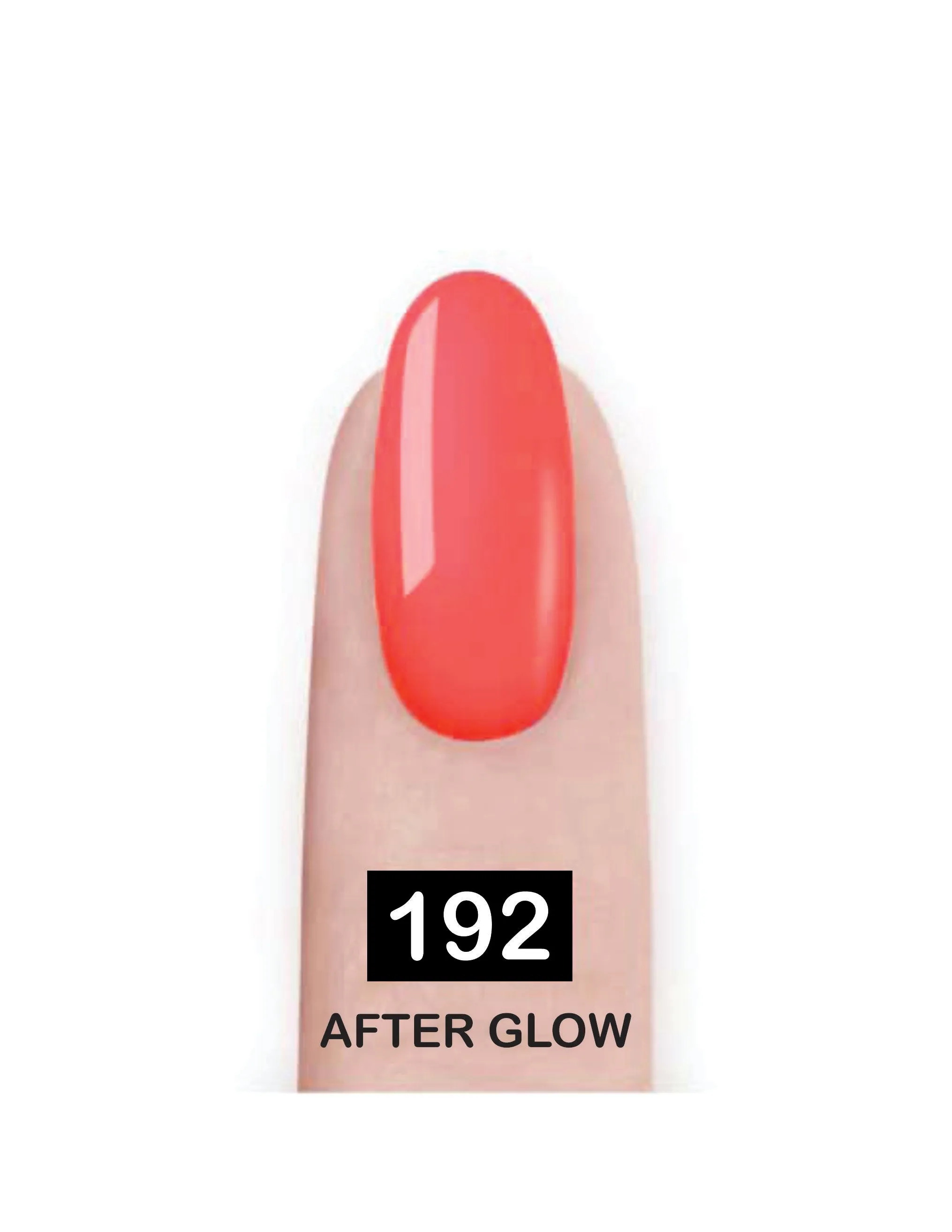 Nail Paint