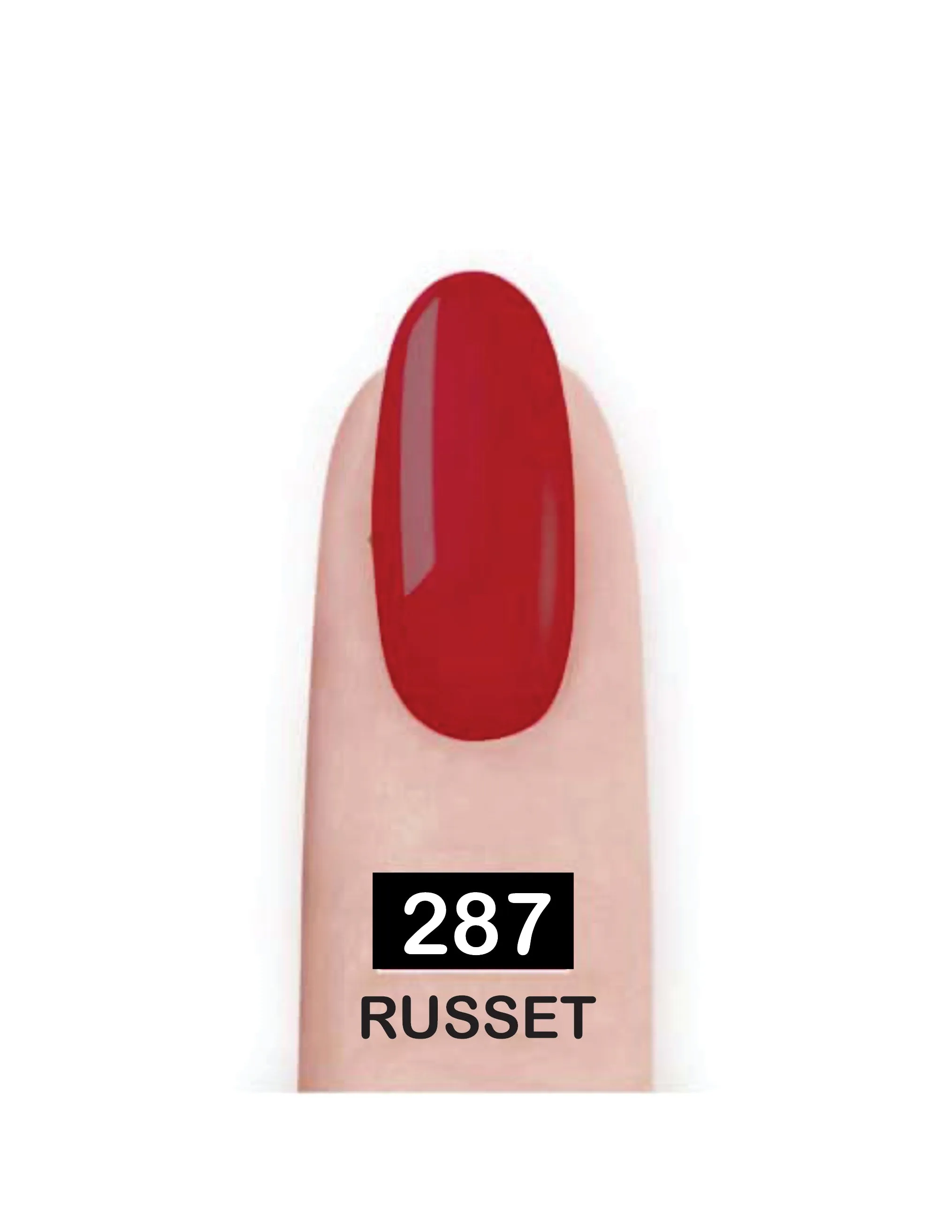 Nail Paint