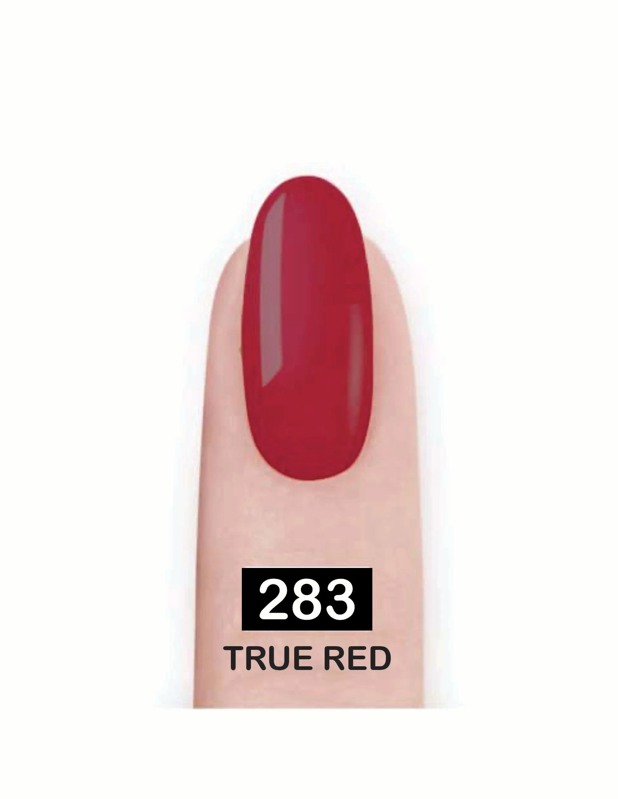 Nail Paint