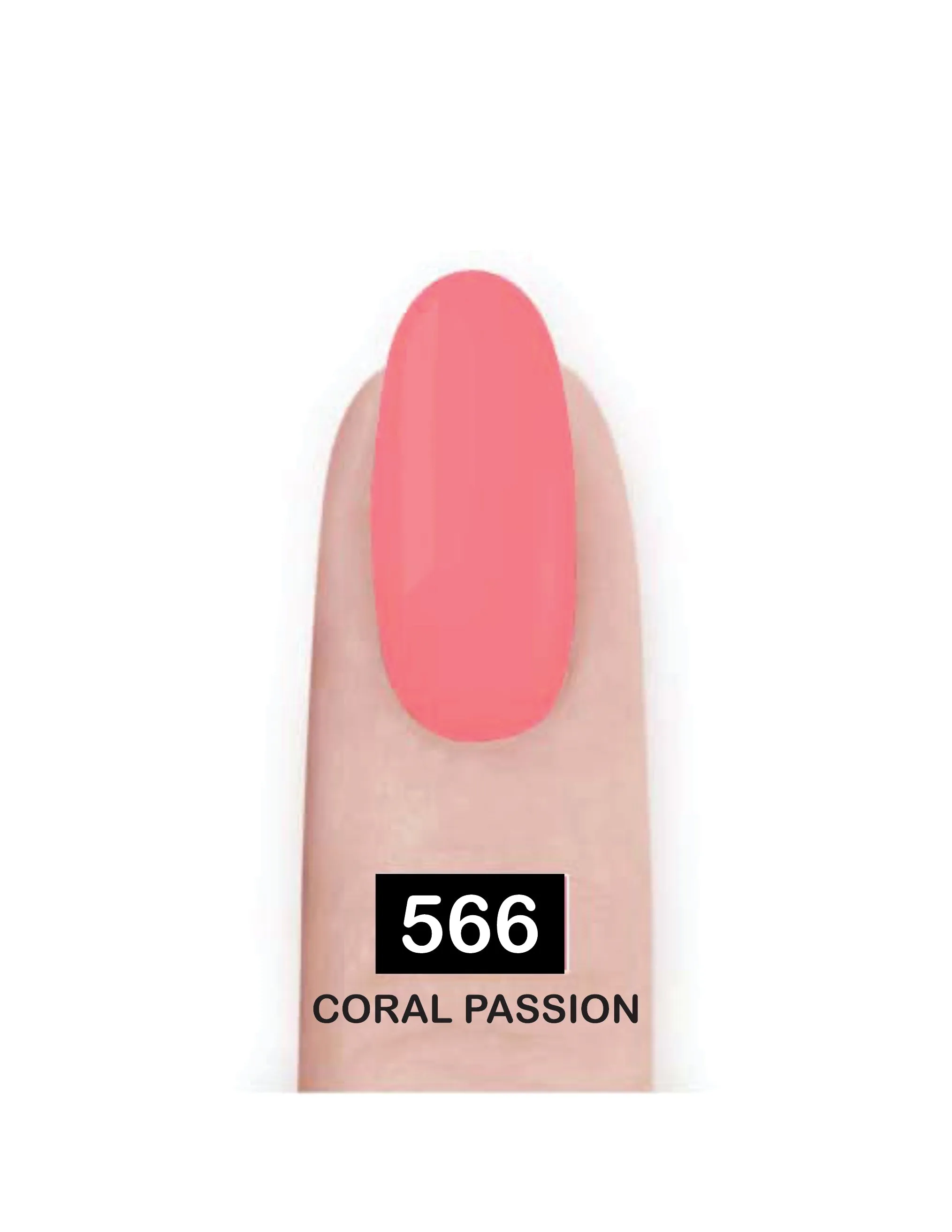 Nail Paint