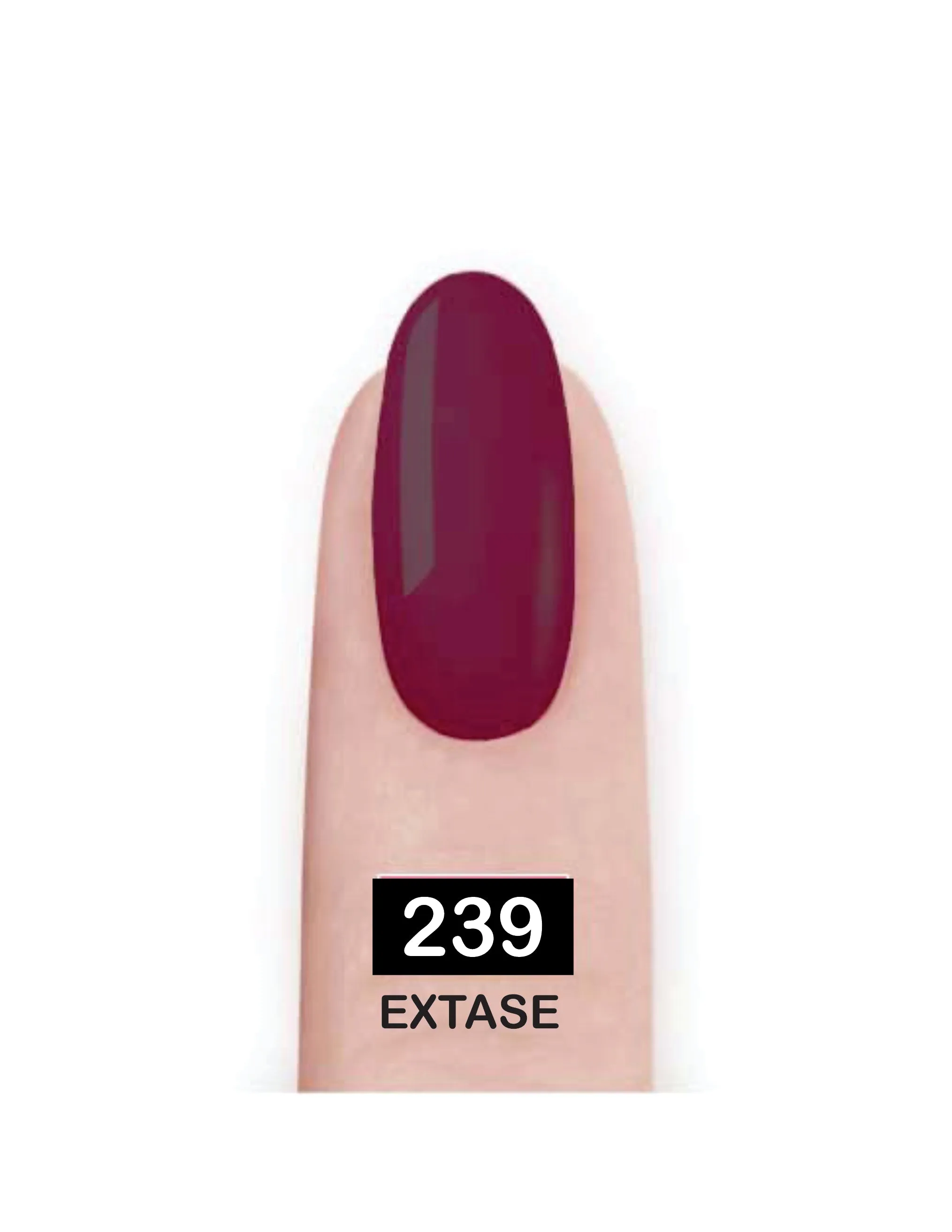 Nail Paint