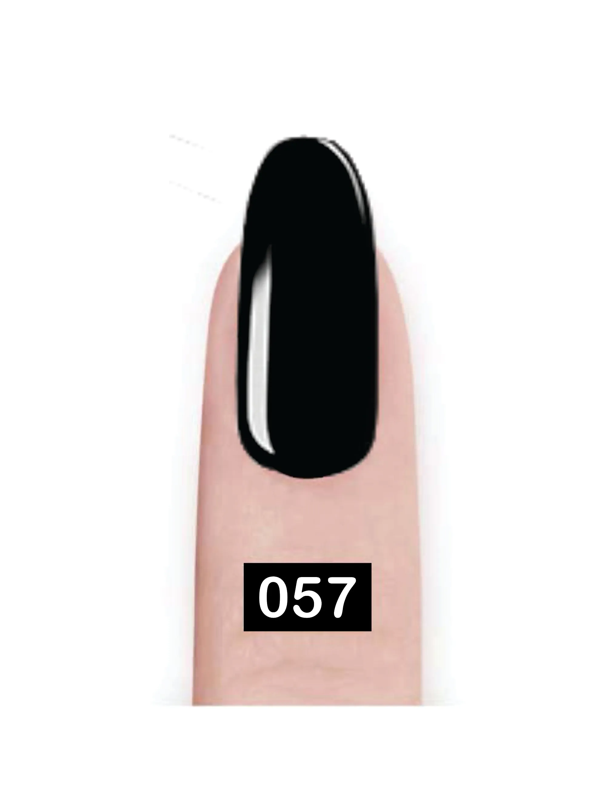 Nail Paint
