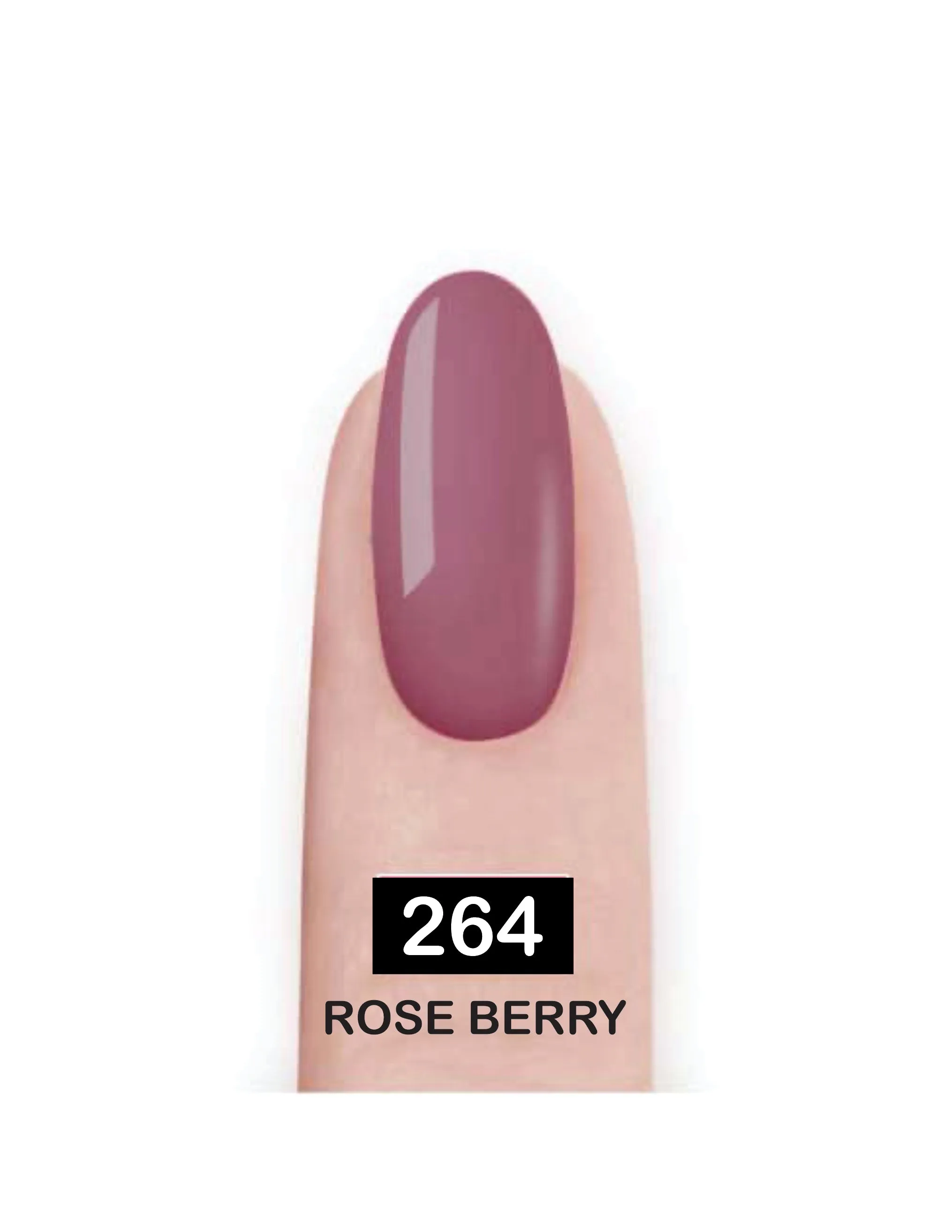 Nail Paint
