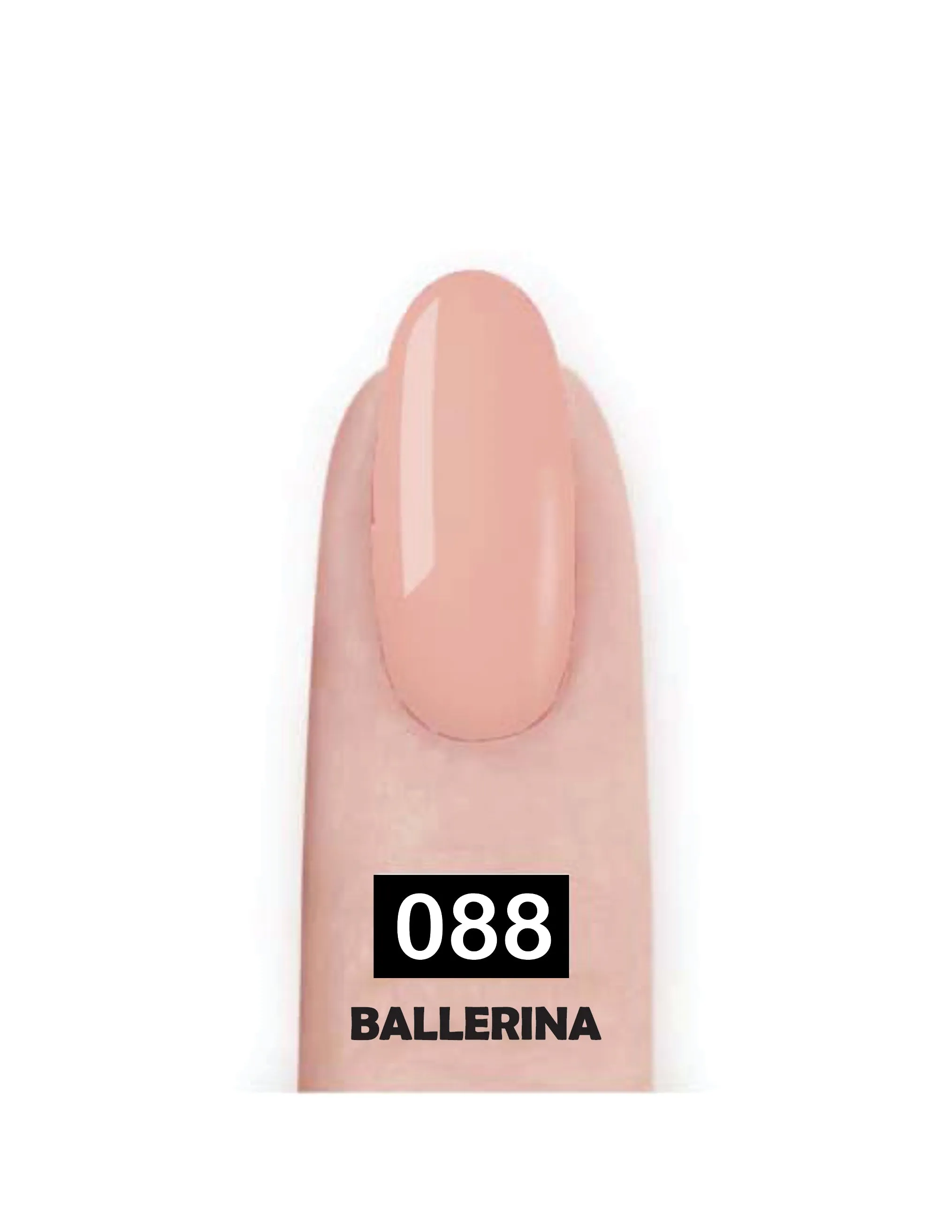 Nail Paint