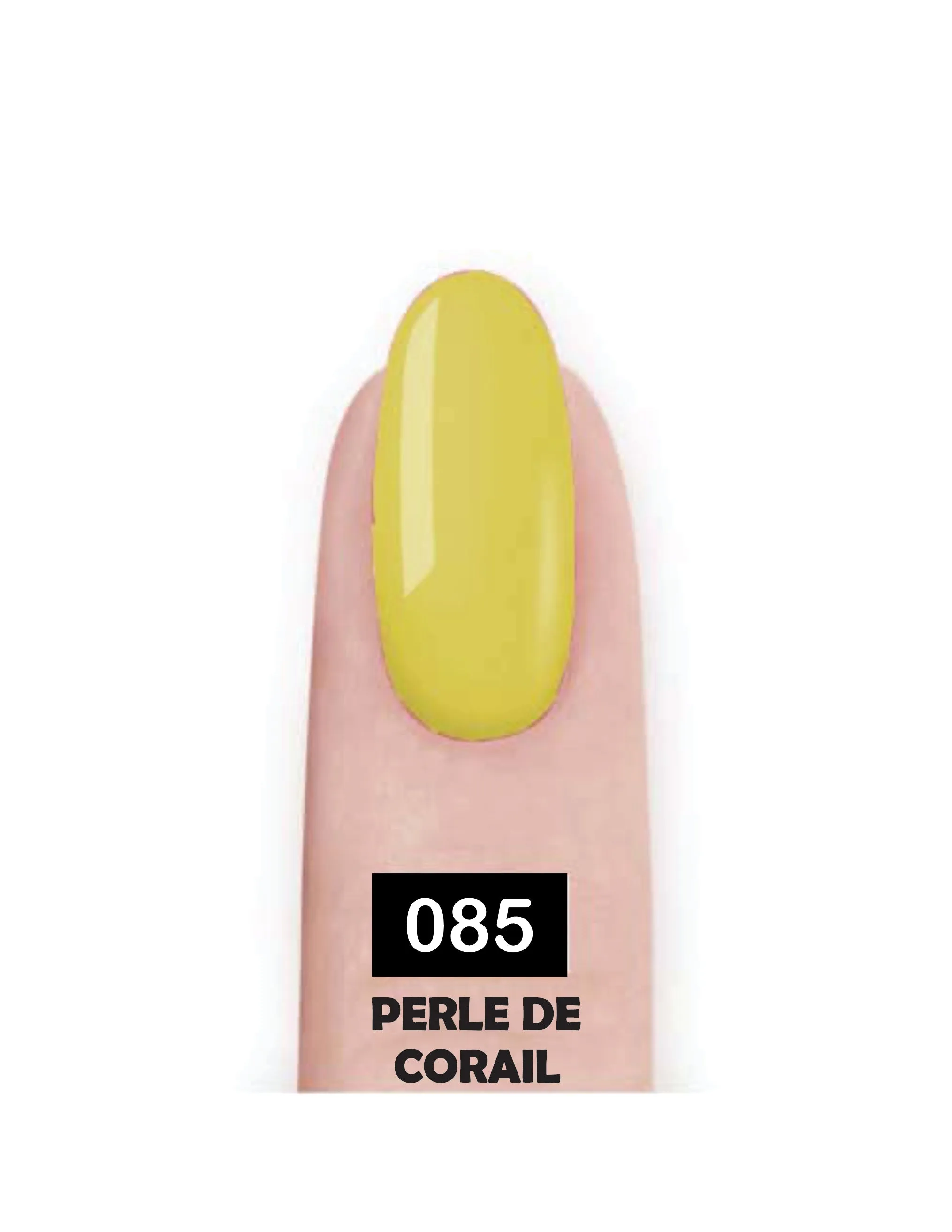 Nail Paint
