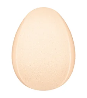Smooth Fit Sponge